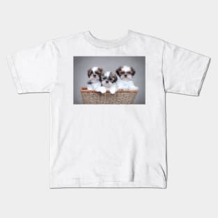 Shih Tzu puppies Kids T-Shirt